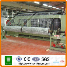 Hexagonal Wire Netting Preise